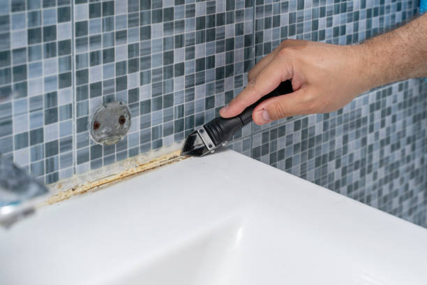 Best Certified Mold Removal  in County Center, VA