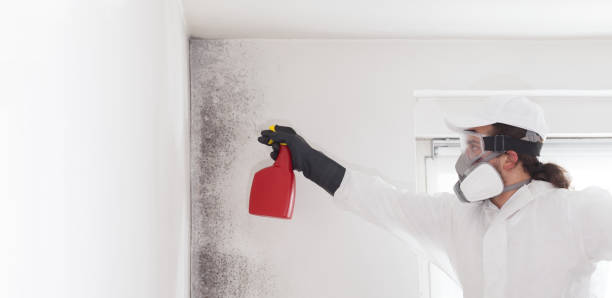 Best Emergency Mold Removal  in County Center, VA