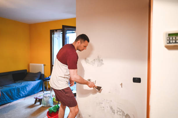 Best Fast Mold Removal  in County Center, VA